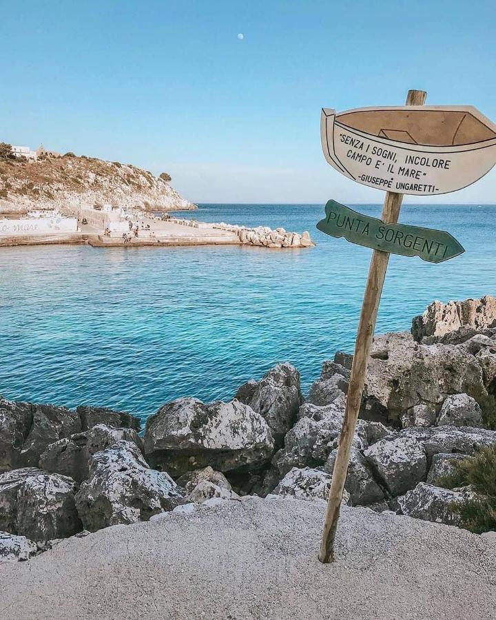 Villaelena マリッティマ エクステリア 写真